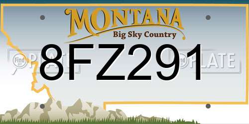 8FZ291 Montana License Plate