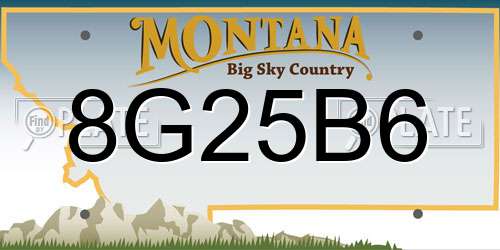 8G25B6 Montana License Plate