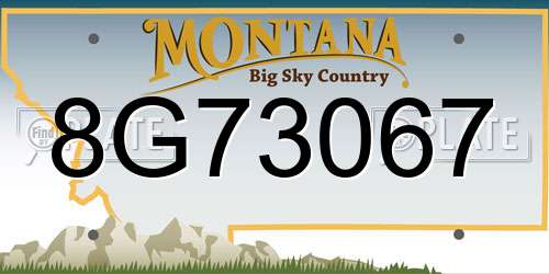 8G73067 Montana License Plate