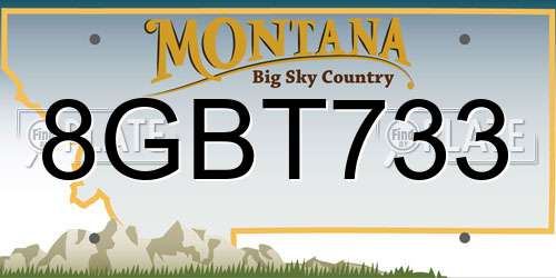 8GBT733 Montana License Plate