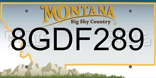 8GDF289 Montana License Plate
