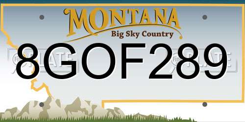 8GOF289 Montana License Plate