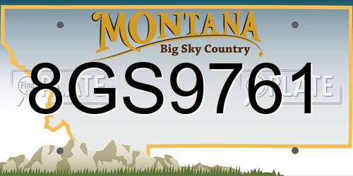 8GS9761 Montana License Plate