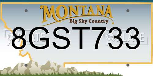 8GST733 Montana License Plate