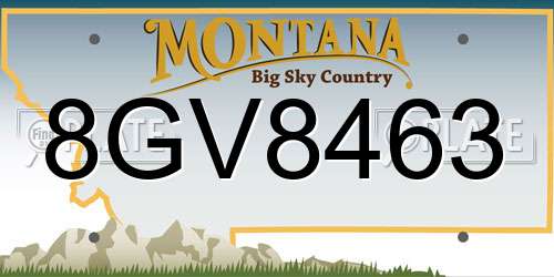 8GV8463 Montana License Plate