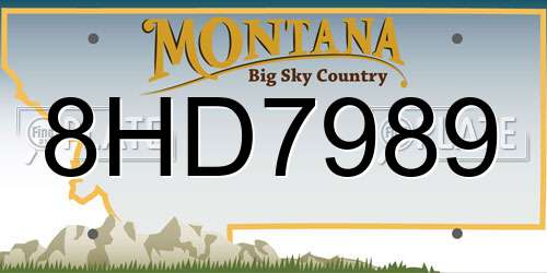 8HD7989 Montana License Plate