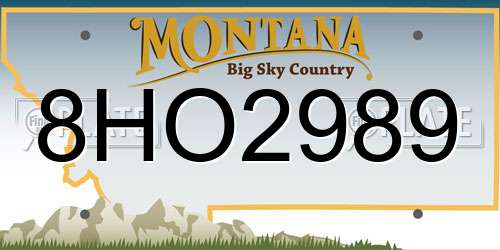 8HO2989 Montana License Plate