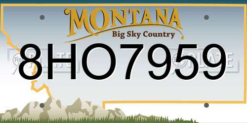 8HO7959 Montana License Plate