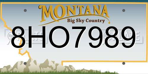 8HO7989 Montana License Plate