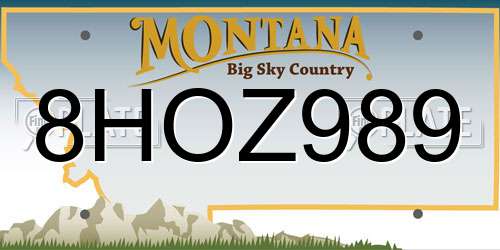 8HOZ989 Montana License Plate