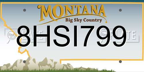 8HSI799 Montana License Plate
