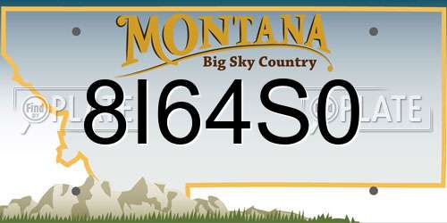 8I64S0 Montana License Plate