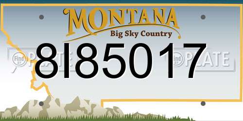 8I85017 Montana License Plate
