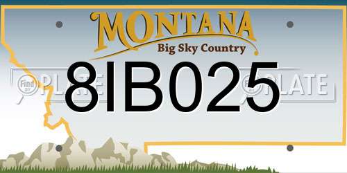 8IB025 Montana License Plate