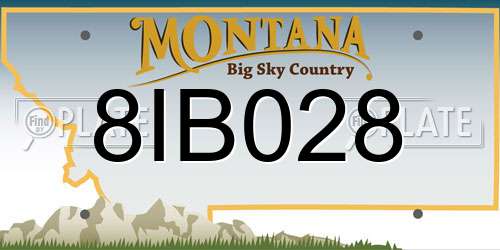 8IB028 Montana License Plate