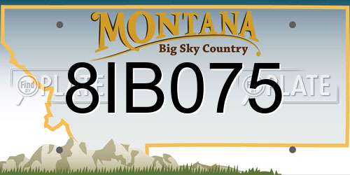 8IB075 Montana License Plate
