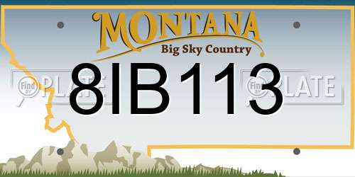 8IB113 Montana License Plate