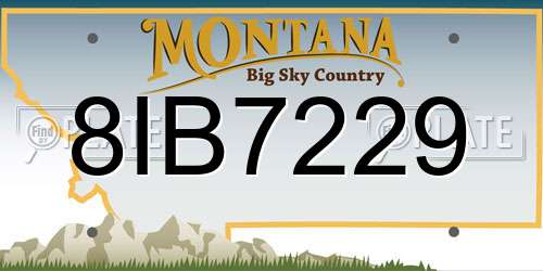 8IB7229 Montana License Plate