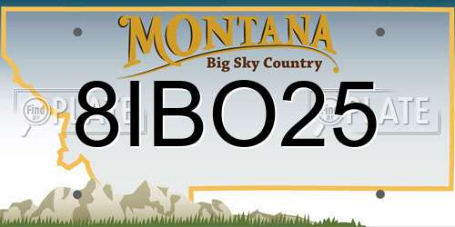 8IBO25 Montana License Plate
