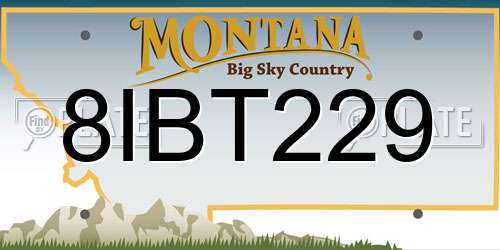 8IBT229 Montana License Plate