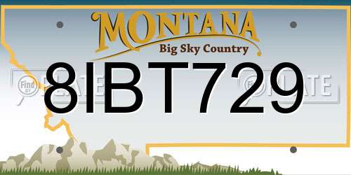 8IBT729 Montana License Plate