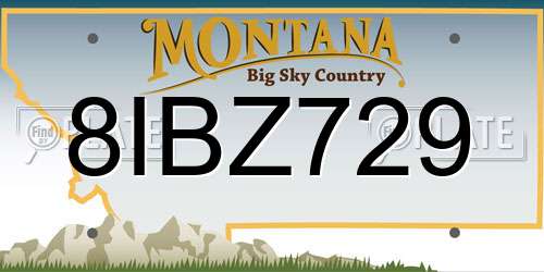 8IBZ729 Montana License Plate