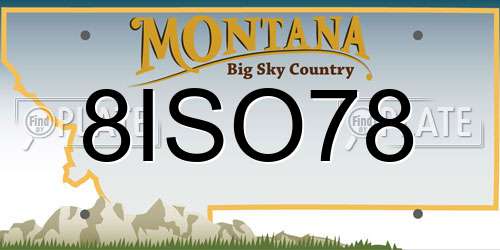 8ISO78 Montana License Plate