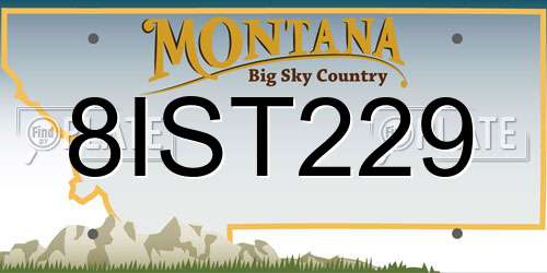 8IST229 Montana License Plate
