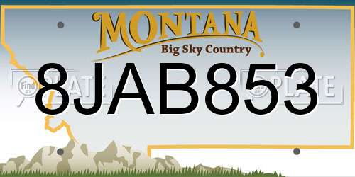8JAB853 Montana License Plate