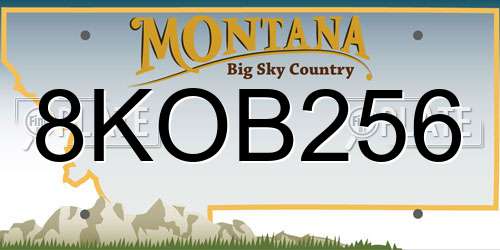 8KOB256 Montana License Plate