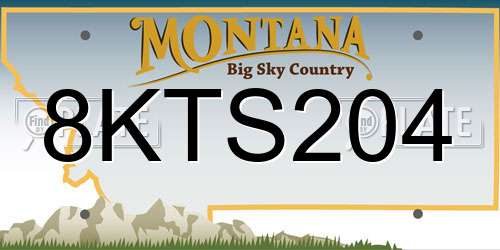 8KTS204 Montana License Plate