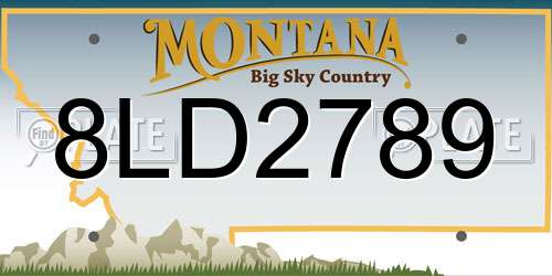 8LD2789 Montana License Plate