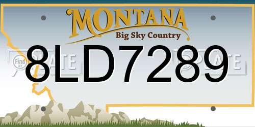 8LD7289 Montana License Plate