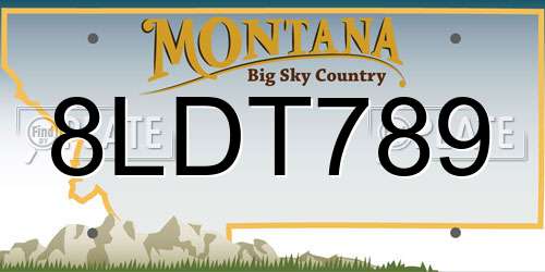 8LDT789 Montana License Plate