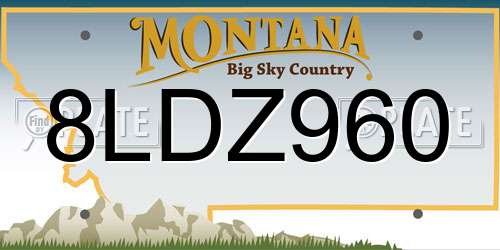 8LDZ960 Montana License Plate