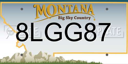 8LGG87 Montana License Plate
