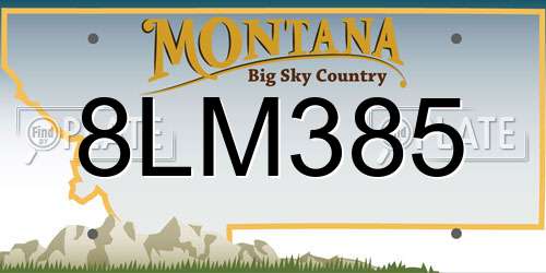 8LM385 Montana License Plate