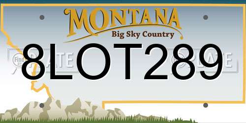 8LOT289 Montana License Plate