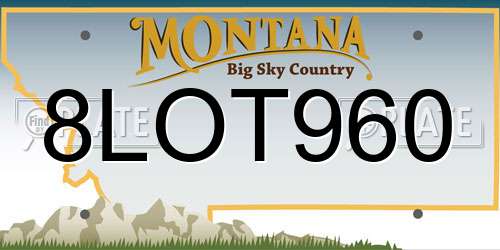 8LOT960 Montana License Plate