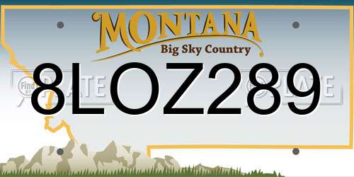 8LOZ289 Montana License Plate