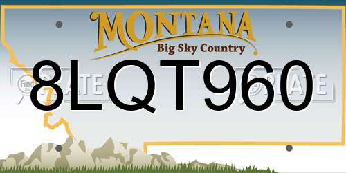8LQT960 Montana License Plate