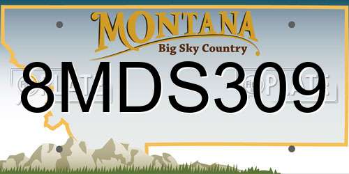 8MDS309 Montana License Plate