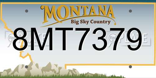8MT7379 Montana License Plate