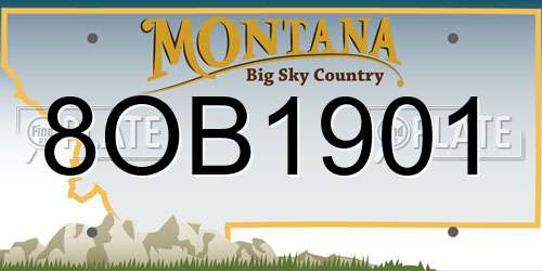 8OB1901 Montana License Plate