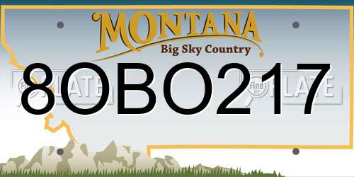 8OBO217 Montana License Plate