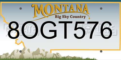 8OGT576 Montana License Plate