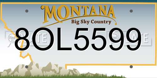 8OL5599 Montana License Plate