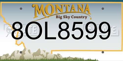 8OL8599 Montana License Plate