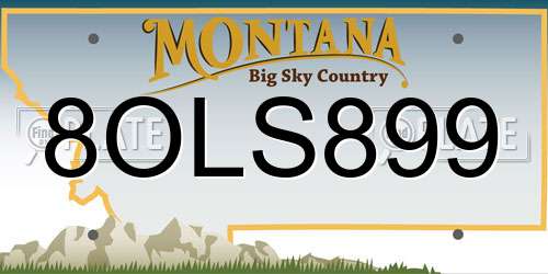 8OLS899 Montana License Plate