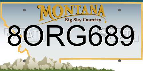 8ORG689 Montana License Plate